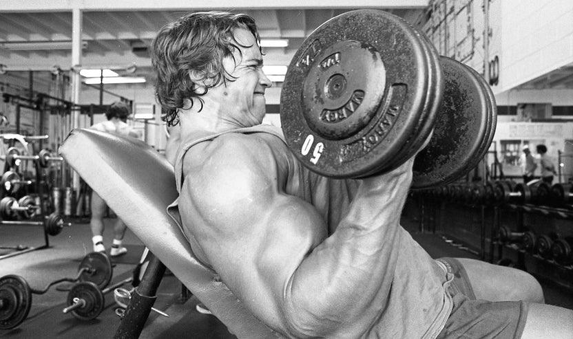 The Muscle Micro-tear Myth (And Other Advice Holding You Back) – Arnold ...