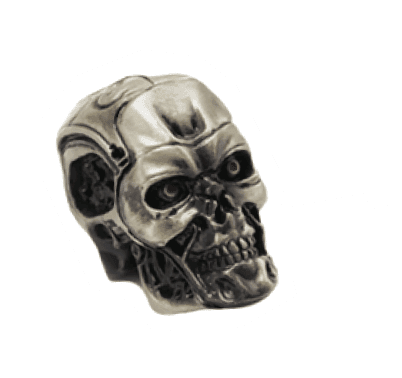 Terminator skull